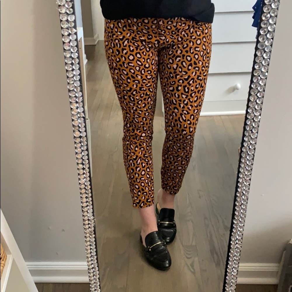 Leopard pixie ankle pants